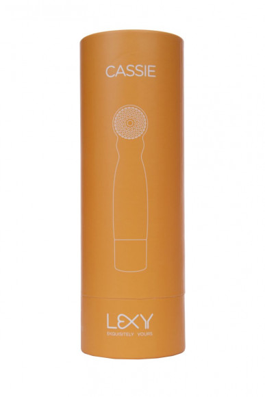 Оранжевый вибратор Cassie с усиками - 17 см. Оранжевый вибратор Cassie с усиками - 17 см.