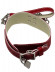 Красный ошейник с металлическим поводком и замочком Красный ошейник с металлическим поводком и замочком